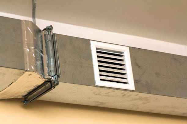 Best Affordable Duct Cleaning Services  in Port Huron, MI